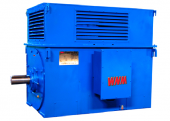 Высоковольтные электродвигатели WNM серии Y (аналоги ДАЗО, АОД, А)